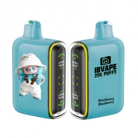 E-papierosy Jednorazowy 25 000 Puff - Jeżyna Jagoda | Leśne Owoce