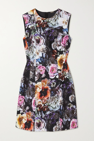 유럽직배송 아담립스 미니원피스 ADAM LIPPES Floral-print stretch cotton-twill mini dress 34344356236755863